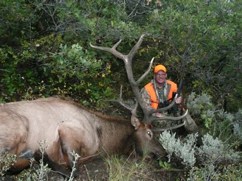 Monster Utah Bull Elk For Reed