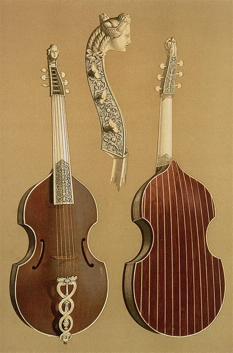 Viola Da Gamba Or Bass Viol Drawing By Alfred James Hipkins
