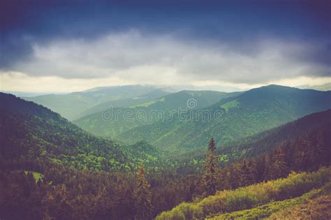 Mountain Landscape And Forests Tops Covered With Mist Dramatic