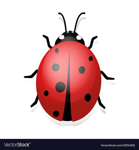 Ladybug Clip Art Of Ladybug Royalty Free Vector Image