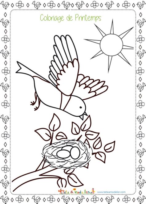 Coloriage de l'oiseau au printemps  coloriage printemps tête à modeler