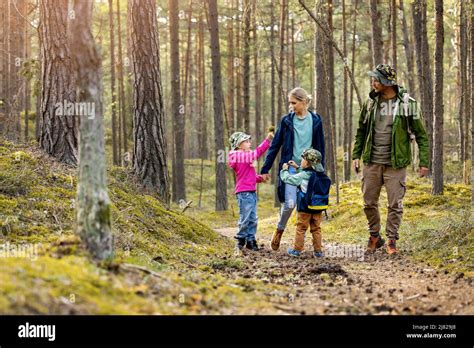 Familia Joven Caminando Y Explorando El Bosque Con Niños Aventuras En