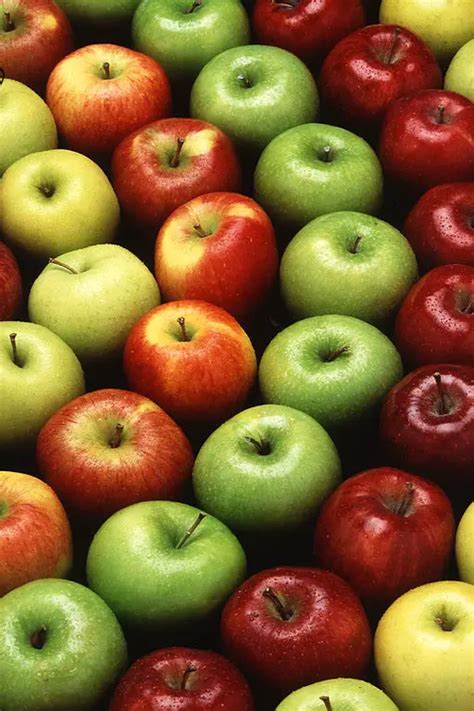 Washington State Fruit Apple