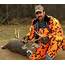Heres What Major Changes To Deer Hunting Regulations Might Be On The 