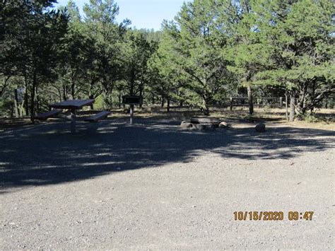 Site 23 Juniper Campground Quemado Lake
