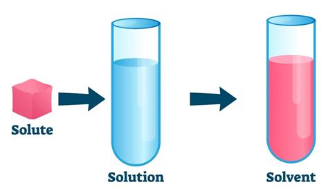 Section 1 Solutions Solubility And Concentration Nitty Gritty Science