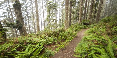Ozette Triangle Loop Trail Outdoor Project