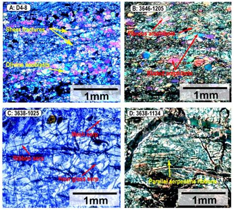 Strain localization on an oceanic detachment fault system ...