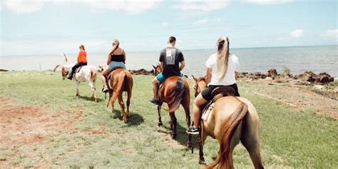 Oahu Horseback Tours North Shore Horseback Riding