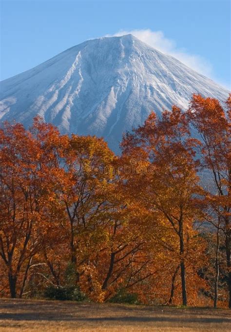 Mount Fuji In Fall Vii Stock Photo Image Of Branches 1491634