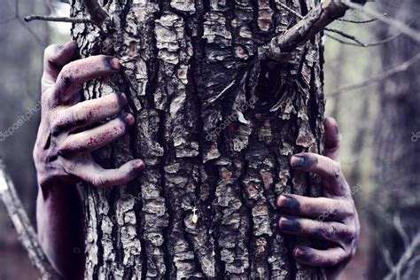 Zombie Or Monster Hiding Behind A Tree Stock Photo By ©nito103 127430454