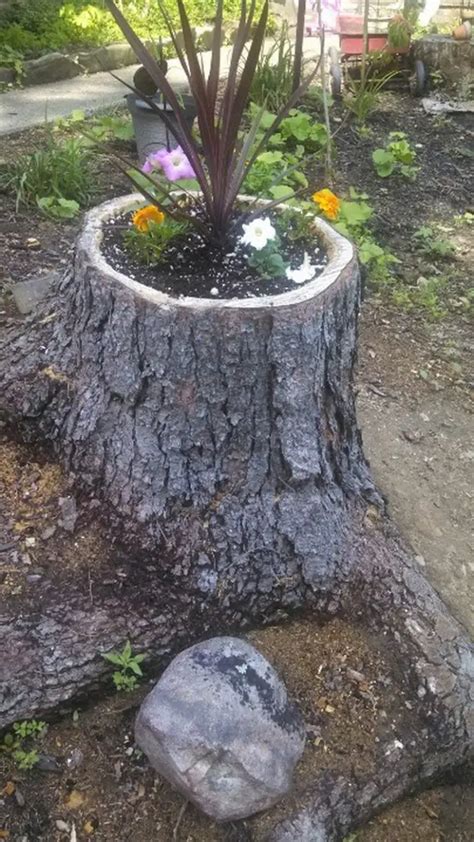 How To Make Your Own Tree Stump Planter Diy Projects For Everyone