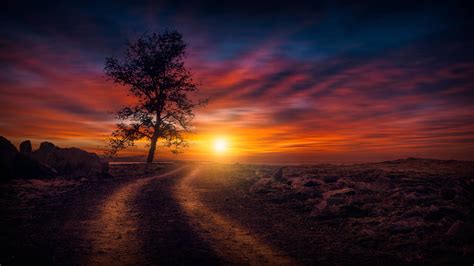 Beautiful Sunset On Dirt Road 4k Sunset Wallpapers Photography Wallpapers Nature Wallpapers