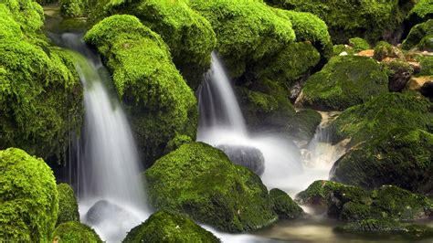 🔥 50 Free Live Waterfalls Desktop Wallpapers Wallpapersafari