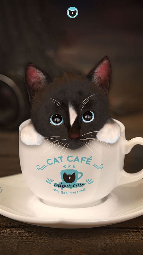 This Is To All Cat And Coffee Lovers Out There Coffee Mocha Espresso