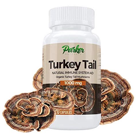 extract best buy turkey tail mushroom extract