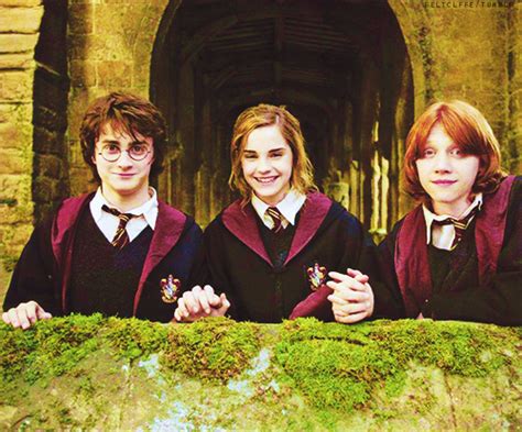 The Golden Trio Harry Potter Movies Harry Potter Cast Harry And