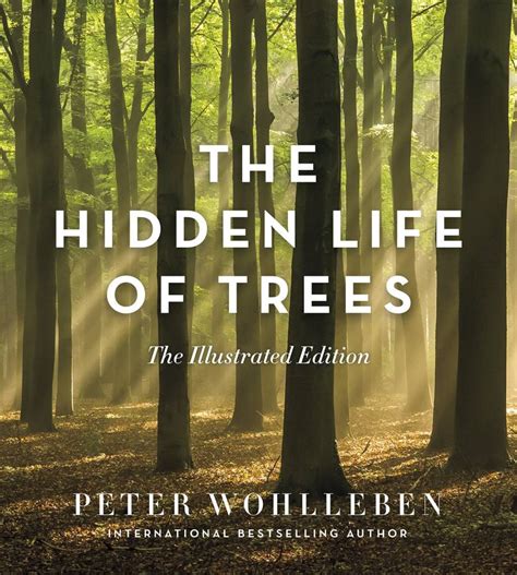 The Hidden Life Of Trees The Illustrated Edition Elysian Fields