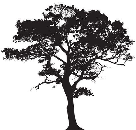 Tree Silhouette Clip Art Silhouette Tree PNG Clip Art Image Png 1071