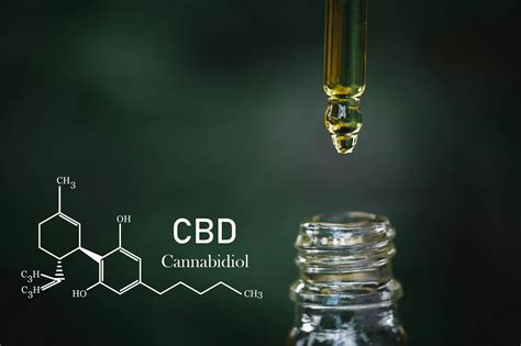 The Science Behind Cbds Health Benefits The Endocannabinoid System