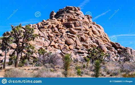 Mountain Of Boulders With Joshua Trees In Joshua Tree National Park