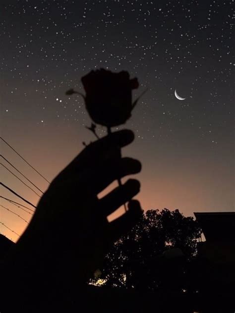 Find the best night moon wallpaper on getwallpapers. #rose #moon #roses #flowers #stars #night #aesthetic #sky ...