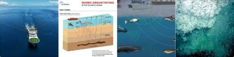 Seismic Testing Gets The Green Light Ocean Odyssey