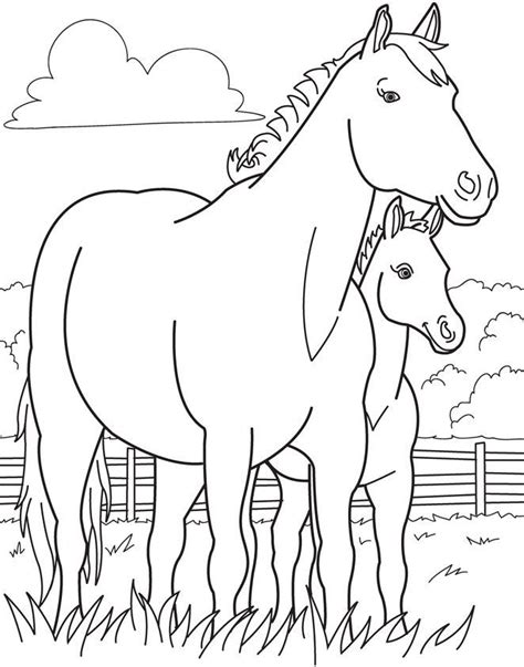 Baby Horse Coloring Page In 2020 Horse Coloring Books Farm Animal