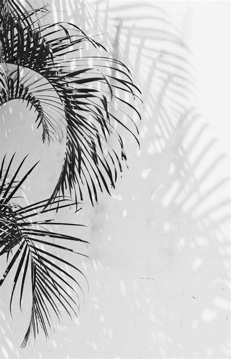 Aesthetic background aesthetic wallpaper landscape hd. White aesthetic background 4 » Background Check All