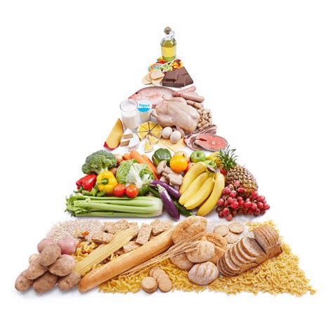 Balanced Diet Pyramid Javatpoint