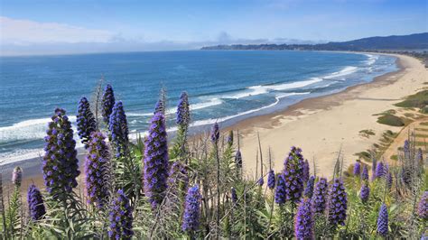 11 Best Beaches In California From Surfer Friendly To Cliffside Views Condé Nast Traveler