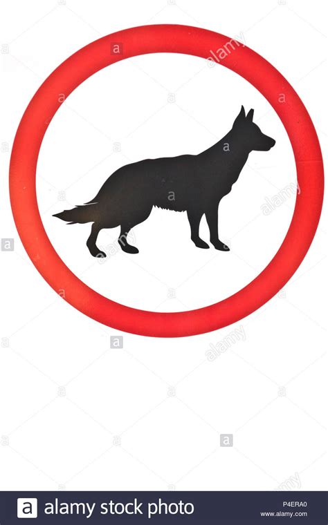 No Dogs Allowed Sign Stock Photo Alamy