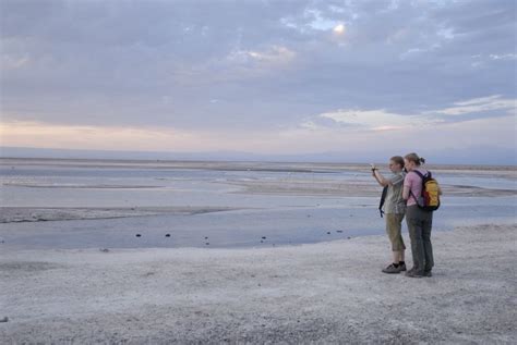 The properties and effects of this sacred plant? Sugested Activities Guide in San Pedro de Atacama