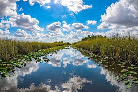 Everglades National Park - Wildlife and Excitement - 7 Days Abroad