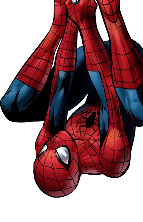 Spider-Man PNG Image | Spiderman, Spiderman comic, Amazing spiderman