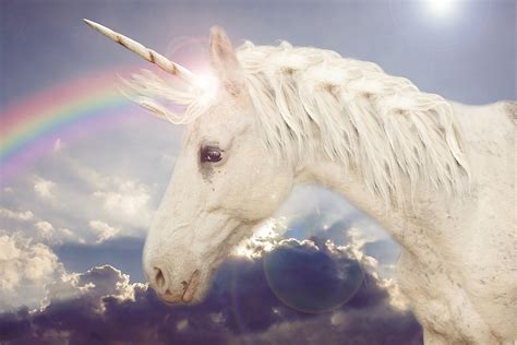 5 Ways To Celebrate National Unicorn Day In The Magic Valley