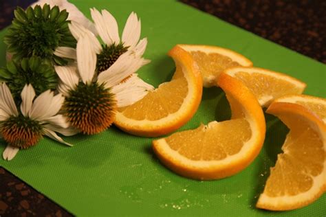 Edible Flowers For Garnishing Food Make Life Special
