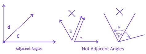 What Are Adjacent And Vertical Angle Definition Types And Importance