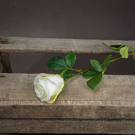 Single White Rose Wholesale By Hill Interiors