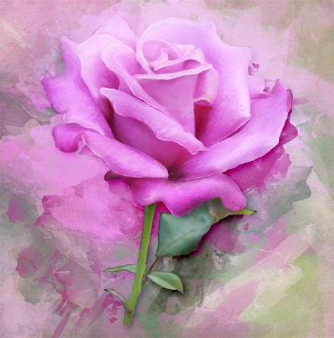 Watercolour Pastel Lilac Rose Painting By Shabby Chic And Vintage Art