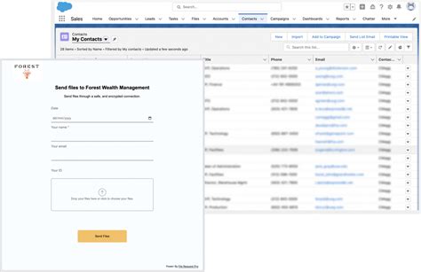 Salesforce Forms How To Build A Dynamic Fillable Form