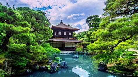 3 Hours Relaxing Music Japan Traditional Instrumental