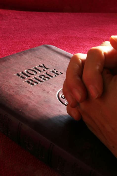 Person Hands On Holy Bible · Free Stock Photo