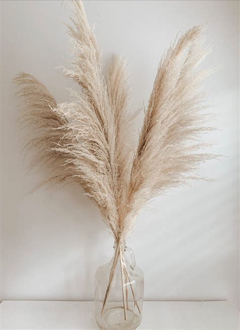 5pcs Large Pampas Grass 3ft Dried Flowers For Interior Etsy Pampas