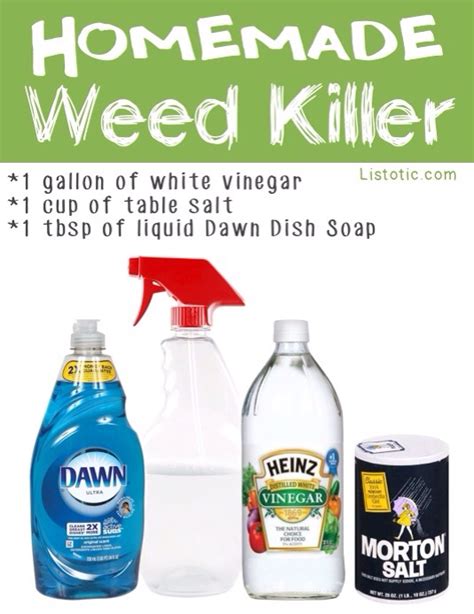 This lawn weed identification guide with photos will help you id your weeds. Homemade Weed Killer | Trusper