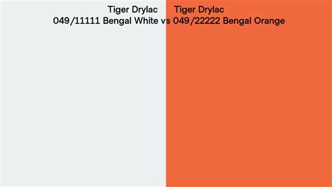 Tiger Drylac Bengal White Vs Bengal Orange Side By