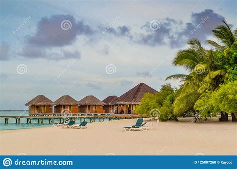 Tropical Beach With Overwater Bungalows And Palm Trees