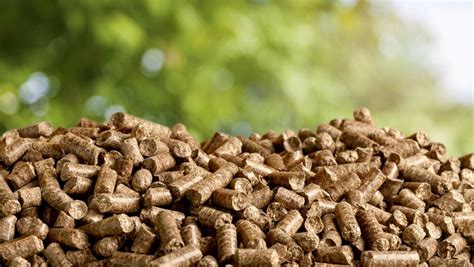The Role Of Biomass In Our Energy Supply Energy Saving Trust