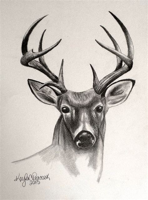 We did not find results for: deer sketch - Google Search | Deer drawing, Deer sketch, Animal drawings sketches