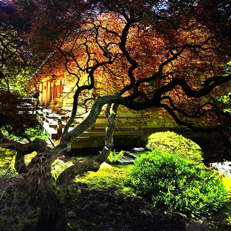 Portland Japanese Garden 2 Photograph By Dale Stillman
